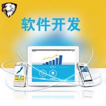一品威客網(wǎng)軟件外包服務(wù)報(bào)價(jià)與收費(fèi)解析 專(zhuān)業(yè)、透明、高性價(jià)比的開(kāi)發(fā)選擇